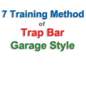 trap bar training