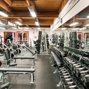 gym business plan